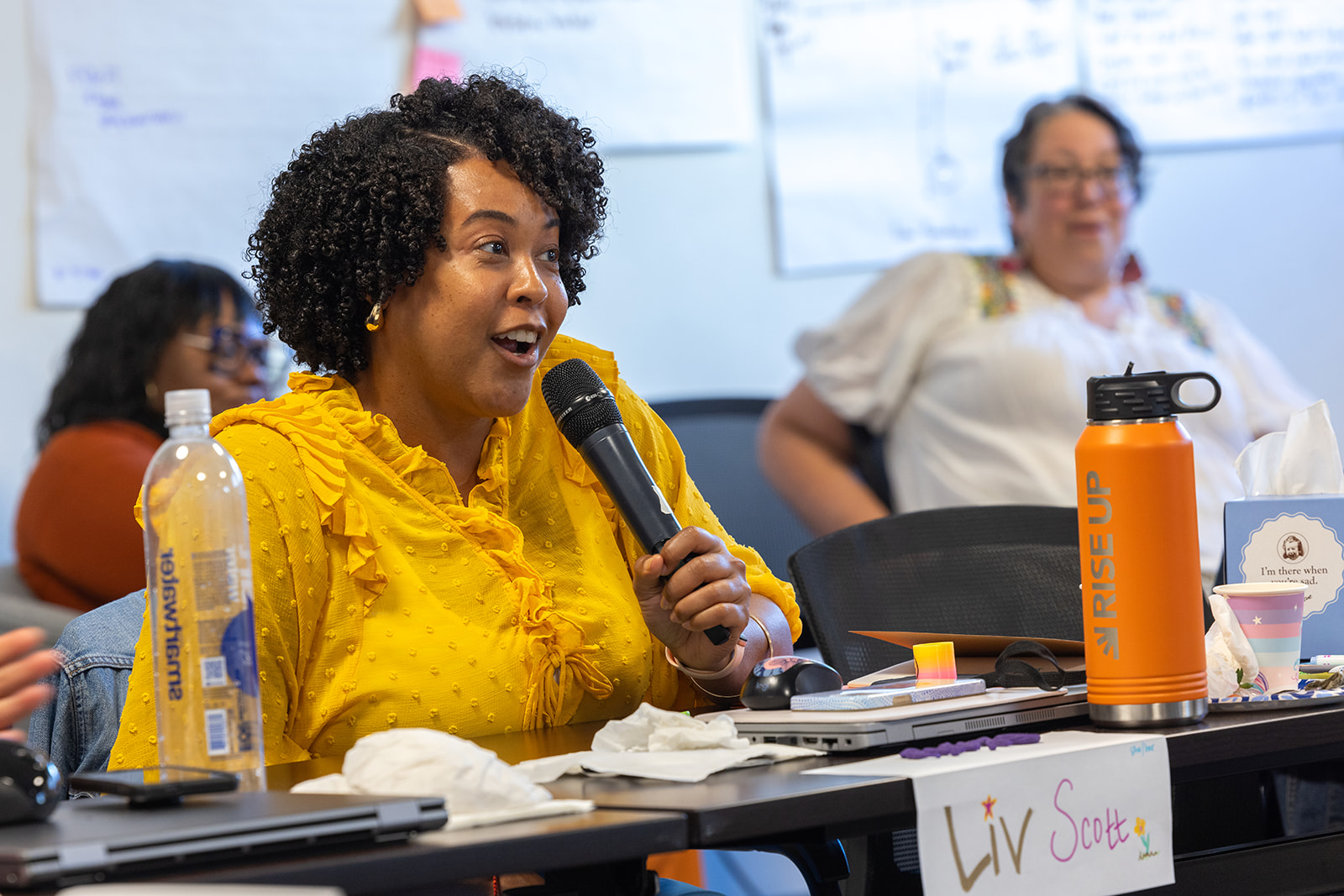 Rise Up CA Leadership and Advocacy Accelerator