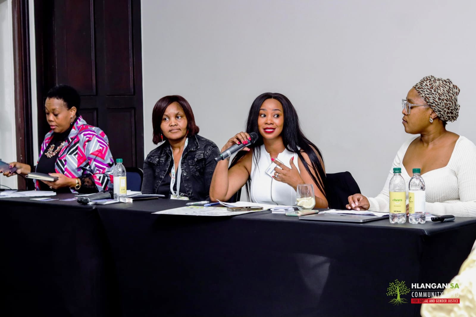Thabie Hlanganisa panel